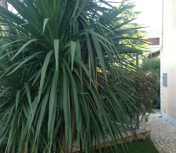 Kristina * Πούλα