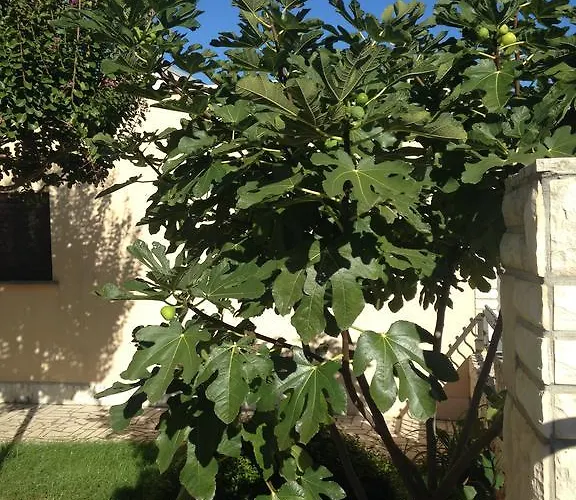 Kristina * Πούλα